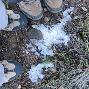 SS10SNOW