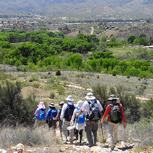 hikers