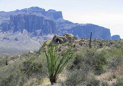 mountains