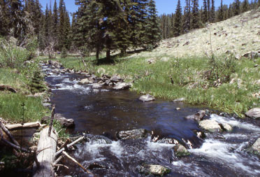 West Fork