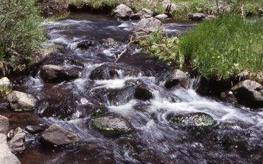 Cataracts