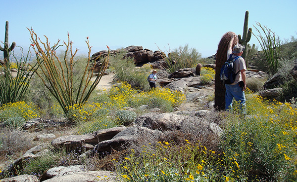 hikers