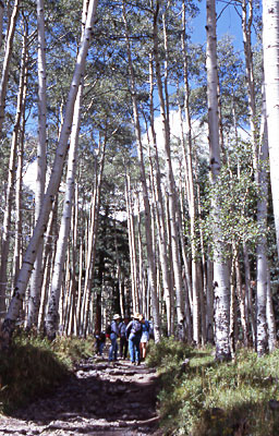 hikers