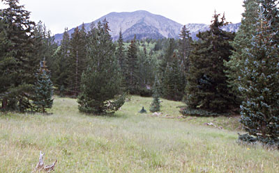 Alpine landscape