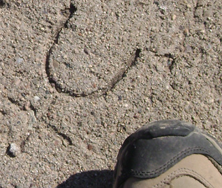 Arizona Trailblazers - Trip Report