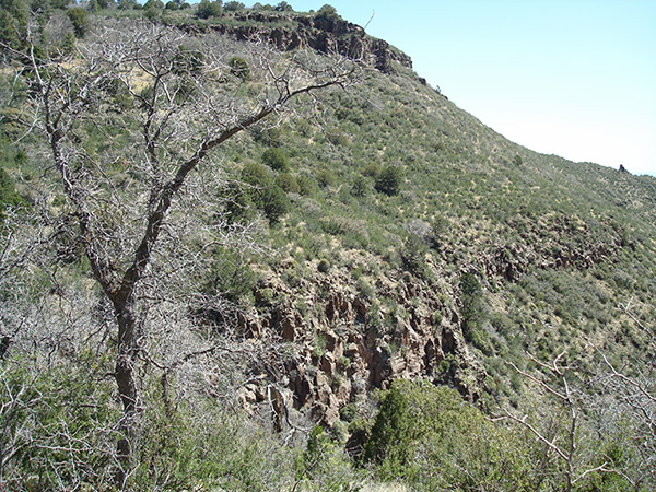 view