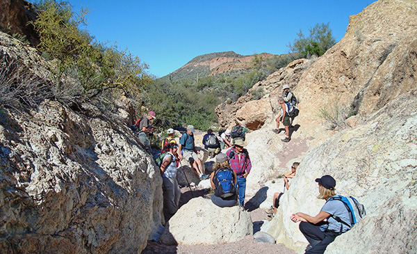 Willow Springs