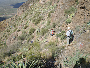 hikers