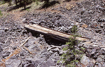 Bridge
