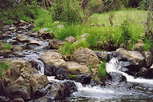 cascades