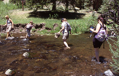 Crossing