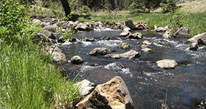 WhiteWater_AK