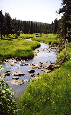 rolling river
