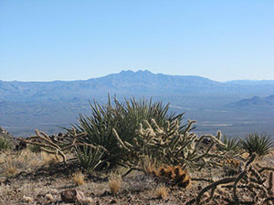 Four Peaks