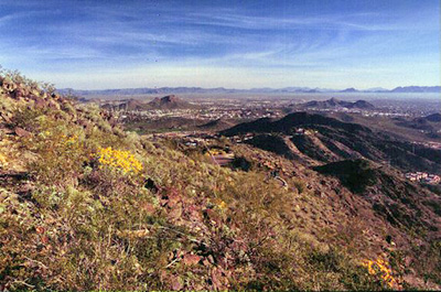 view