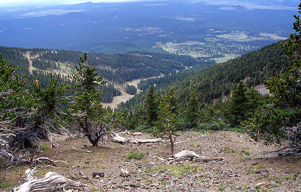 view