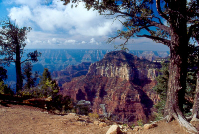 canyon