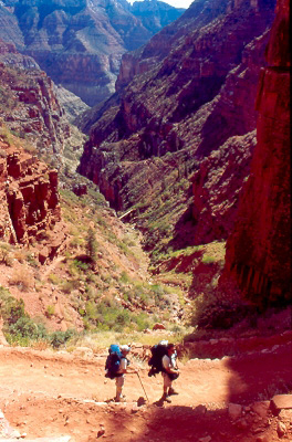 hikers