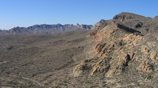 view