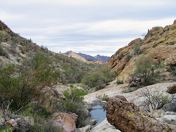 stream