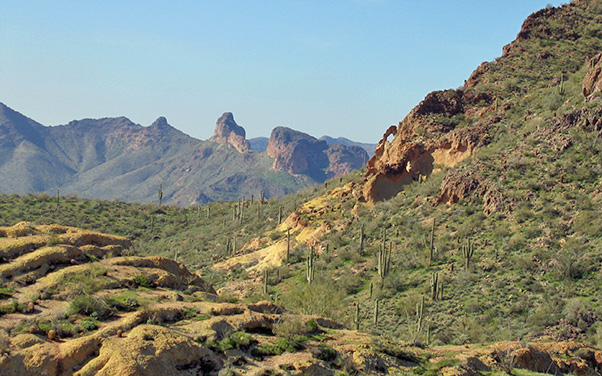 ridge